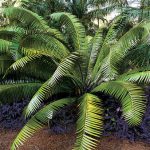 article image - 